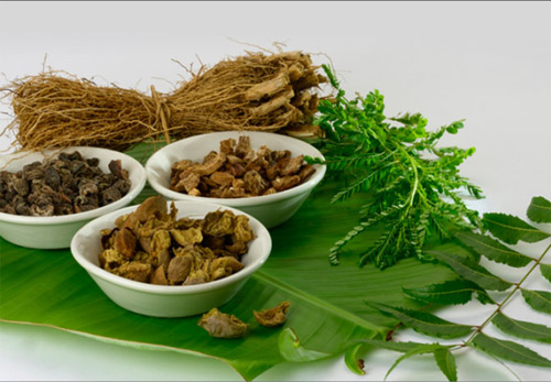 ayurvedic products exporters