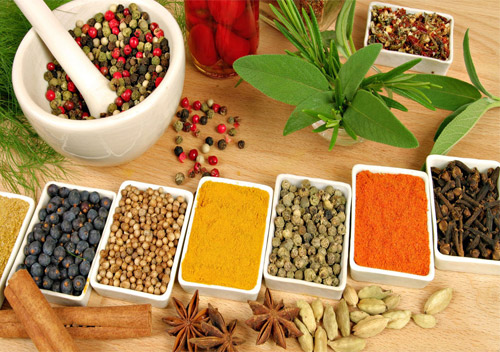 ayurvedic herbal medicine suppliers