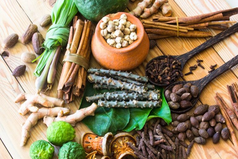 Ayurvedic Products Exporters Nutraceuticals Companies in India
